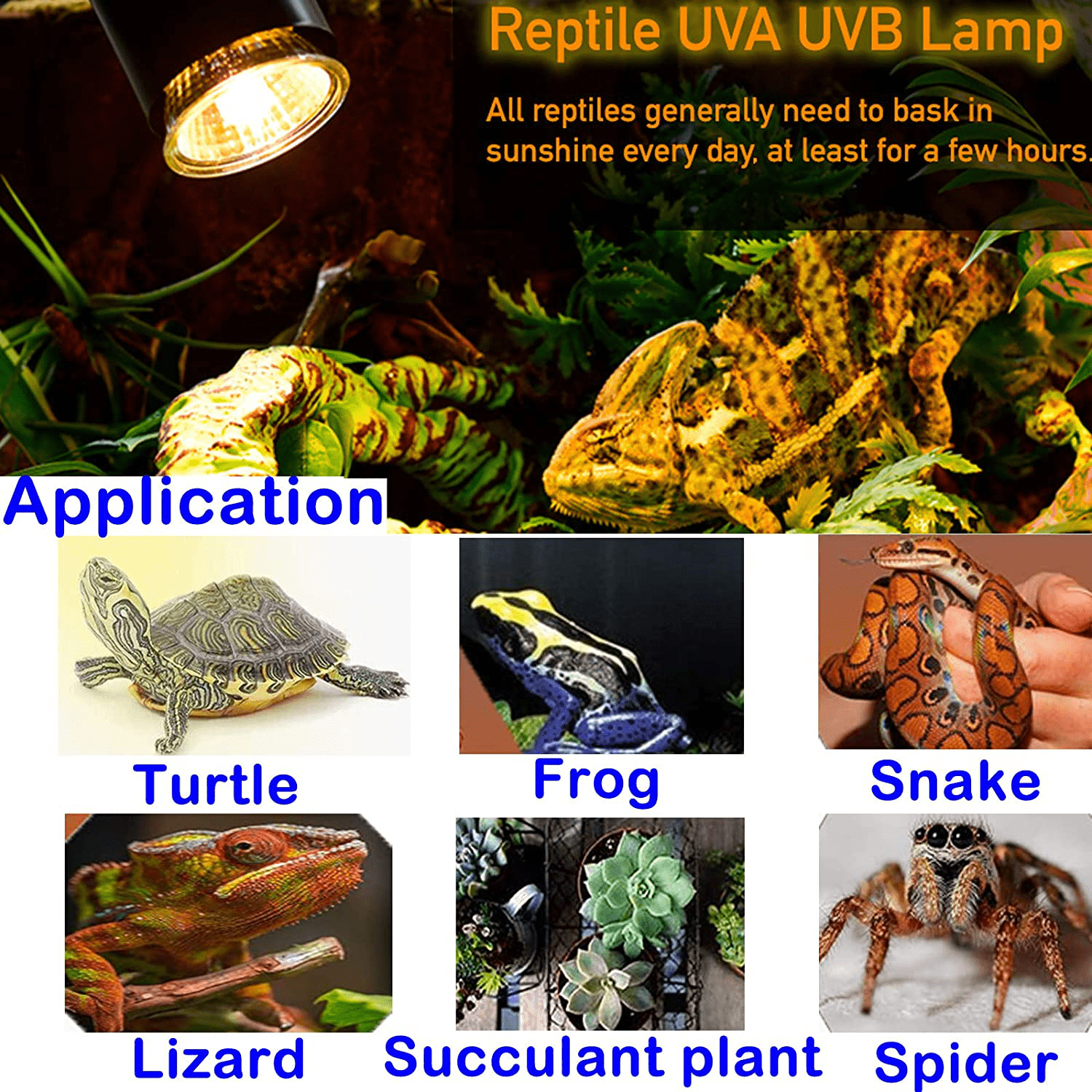 75W Reptile Heat Lamp, Turtle Heating Light UVA UVB Temperature Adjustable 360°Rotatable Clip Basking Lamp for Amphibian Reptile Turtle Lizard Snake (Heat Light with 2Pcs 75W Bulb)