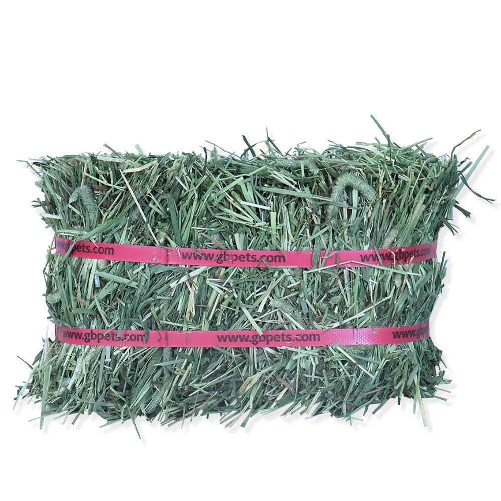 Grandpa'S Best Timothy Hay Mini Bale for Small Animals - 5Lb Animals & Pet Supplies > Pet Supplies > Small Animal Supplies > Small Animal Food Grandpa's Best LLC   