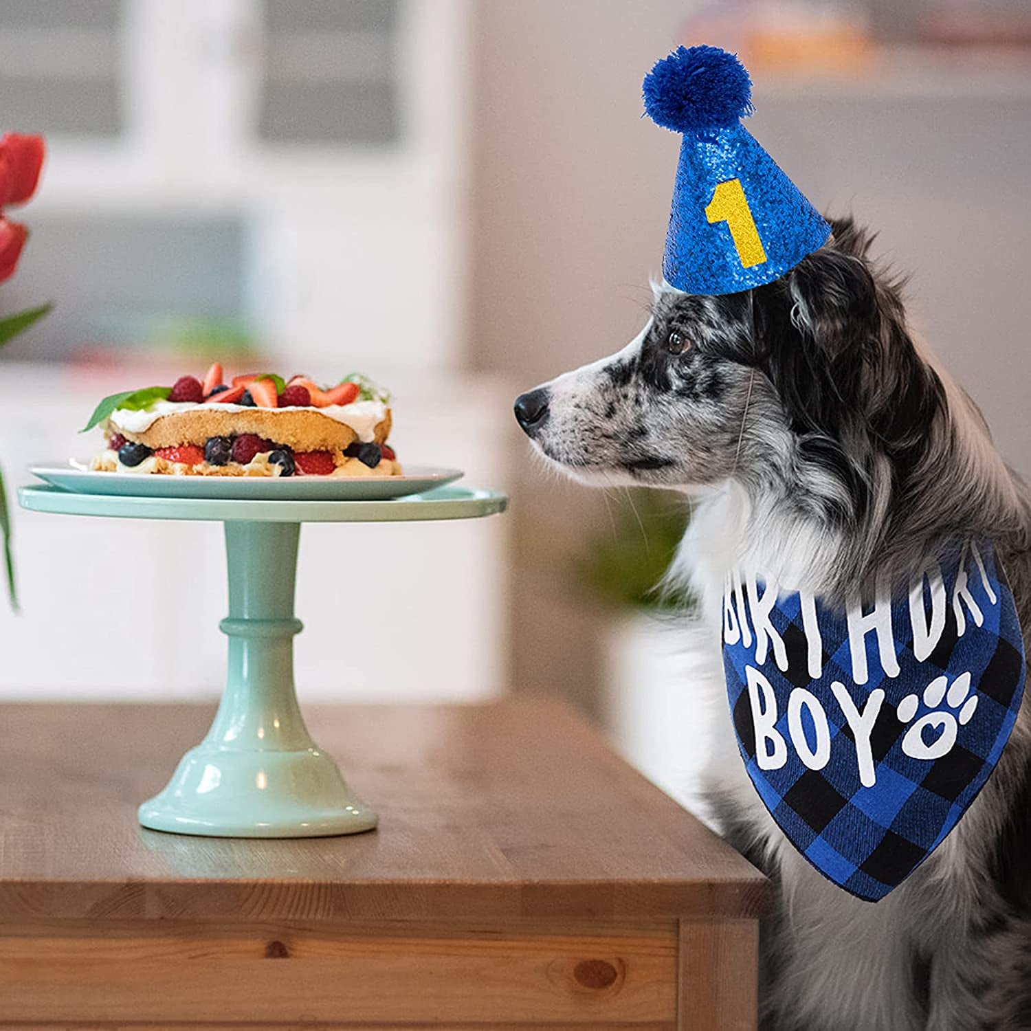 FLYSTAR Dog Birthday Bandana with Hat and Number - Plaid Cute Doggy Bandana for Small Medium Large Dogs Boy- Blue Triangle Scarf Bibis Party Dog Outfits Animals & Pet Supplies > Pet Supplies > Dog Supplies > Dog Apparel FLYSTAR   