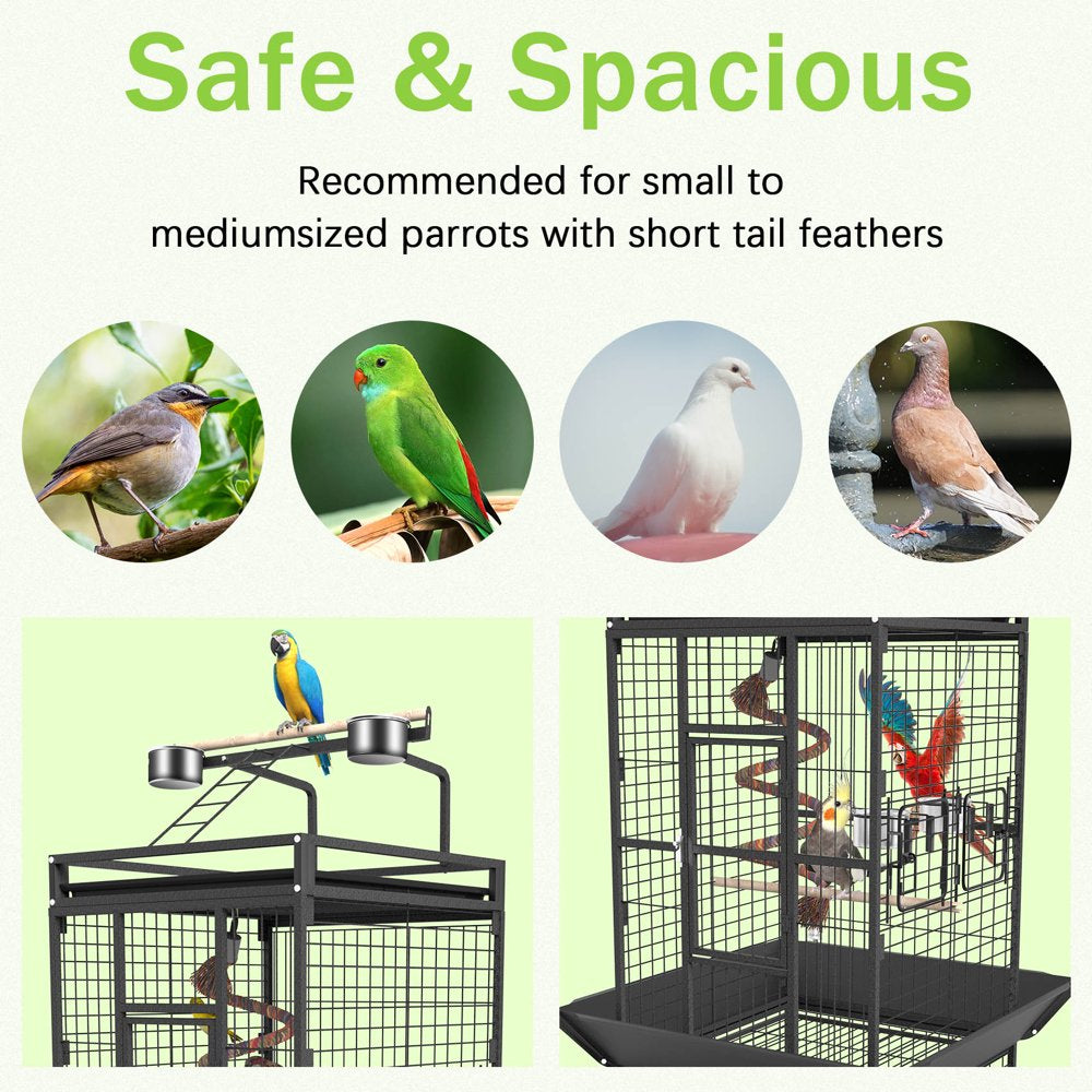 Varadyle 61'' Bird Cage with Rolling Stand Wrought Iron Bird Flight Cages with Playtop & Rope Bungee Bird Toy for Parakeet Parrot, Lovebirds, Macaw Animals & Pet Supplies > Pet Supplies > Bird Supplies > Bird Cages & Stands Varadyle   