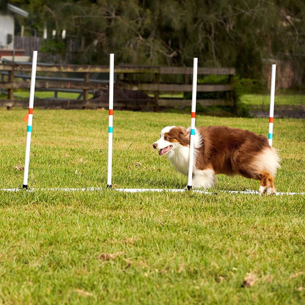 Jadayon Dog Agility Weave Poles, Fixed Set of Agility Weave Poles. Perfect for Backyard Fun and Playing with Your Dog!