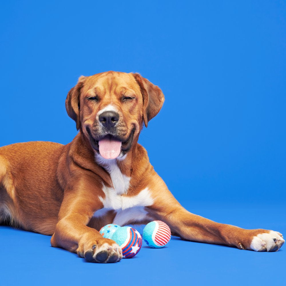 BARK Fetch of July - 3 Yankee Doodle Dog Tennis Ball Toys, Includes Squeakers, All Dog Sizes Animals & Pet Supplies > Pet Supplies > Dog Supplies > Dog Toys BARK   