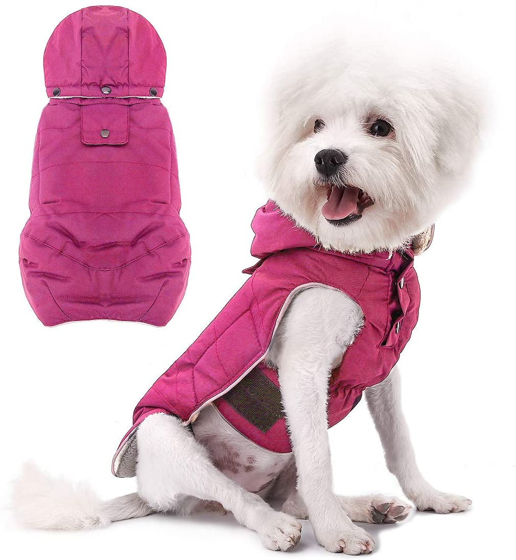 VOOPET Dog Jacket, Waterproof Warm Winter Coat for Small Medium Dogs - Soft Fleece Lining Pet Costume, Reflective Windproof Snowproof Cold Weather Padded Vest Dog Clothes with Detachable Hood (2XL) Animals & Pet Supplies > Pet Supplies > Dog Supplies > Dog Apparel voopet Rose Red X-Large (Pack of 1) 