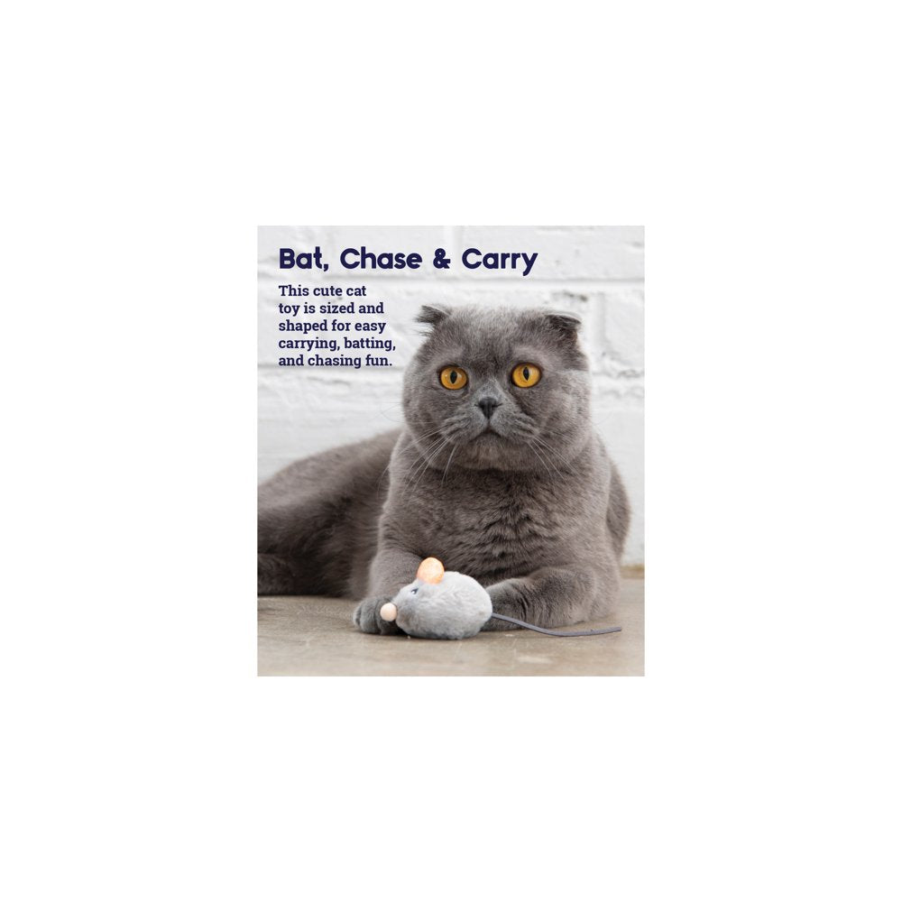 Petstages Squeak Squeak Mouse Plush Cat Toy, Gray, One-Size Animals & Pet Supplies > Pet Supplies > Cat Supplies > Cat Toys Petstages   