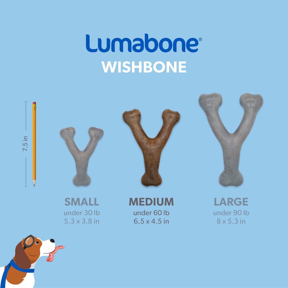 Lumabone Real Bacon Durable Wishbone Dog Chew Toy, Medium Animals & Pet Supplies > Pet Supplies > Dog Supplies > Dog Toys Lumabone   