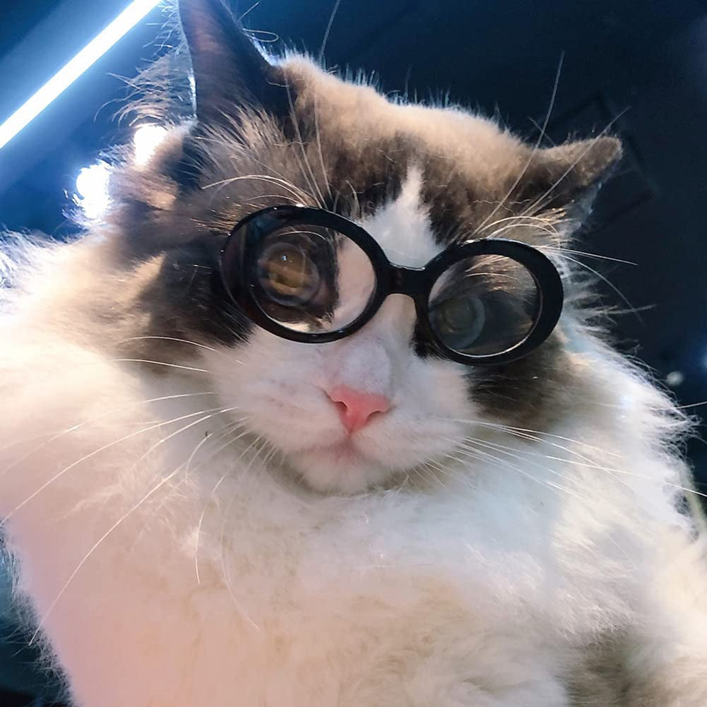 Gigicloud Small Cat Glasses Pet Sunglasses Windproof Dustproof round Dog Glasses Pet Sunglasses for Small Medium Dogs Cats Party Cosplay Costume Photo Prop Animals & Pet Supplies > Pet Supplies > Dog Supplies > Dog Apparel Gigicloud   