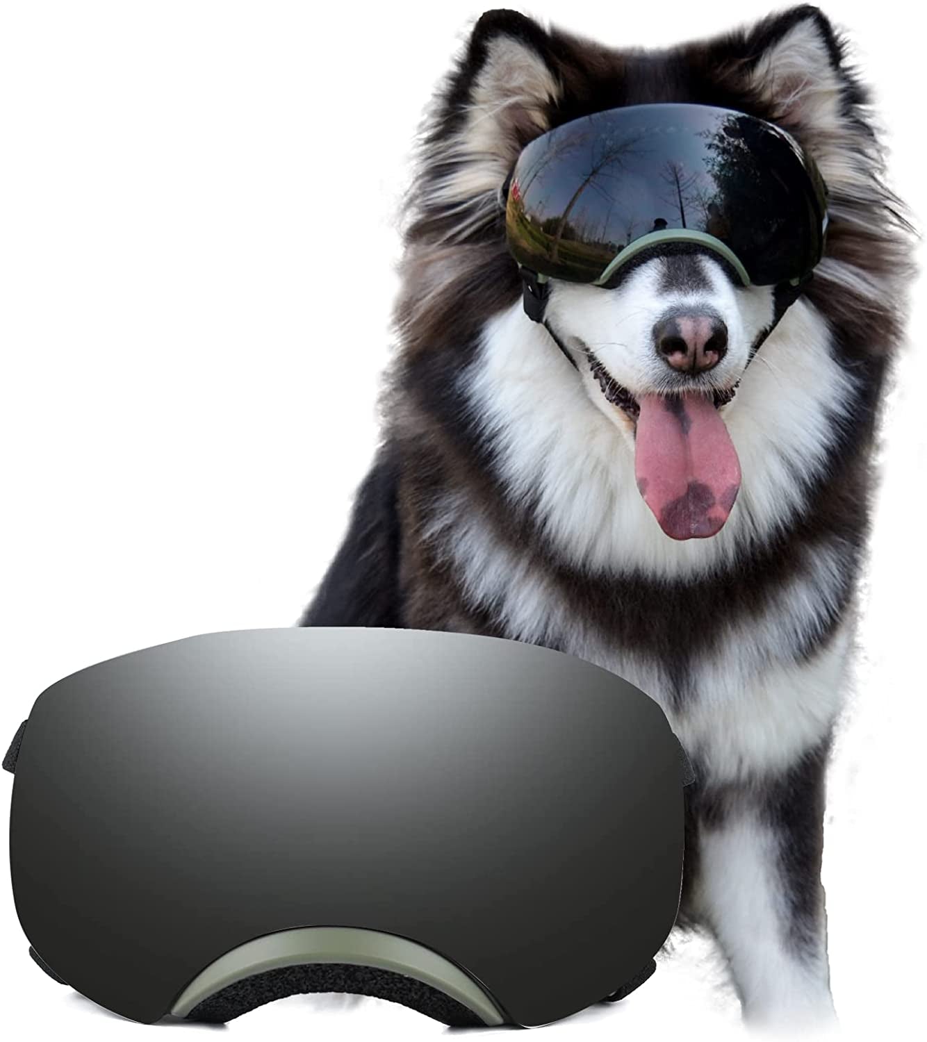 SLDPET Dog Glasses for Large Breed Dog Goggles Dog UV Sunglasses Windproof Snowproof for Long Snout Dogs Mask with Soft Frame Adjustable Straps Black for Large/Medium Dogs (Black) Animals & Pet Supplies > Pet Supplies > Dog Supplies > Dog Apparel SLDPET Green  