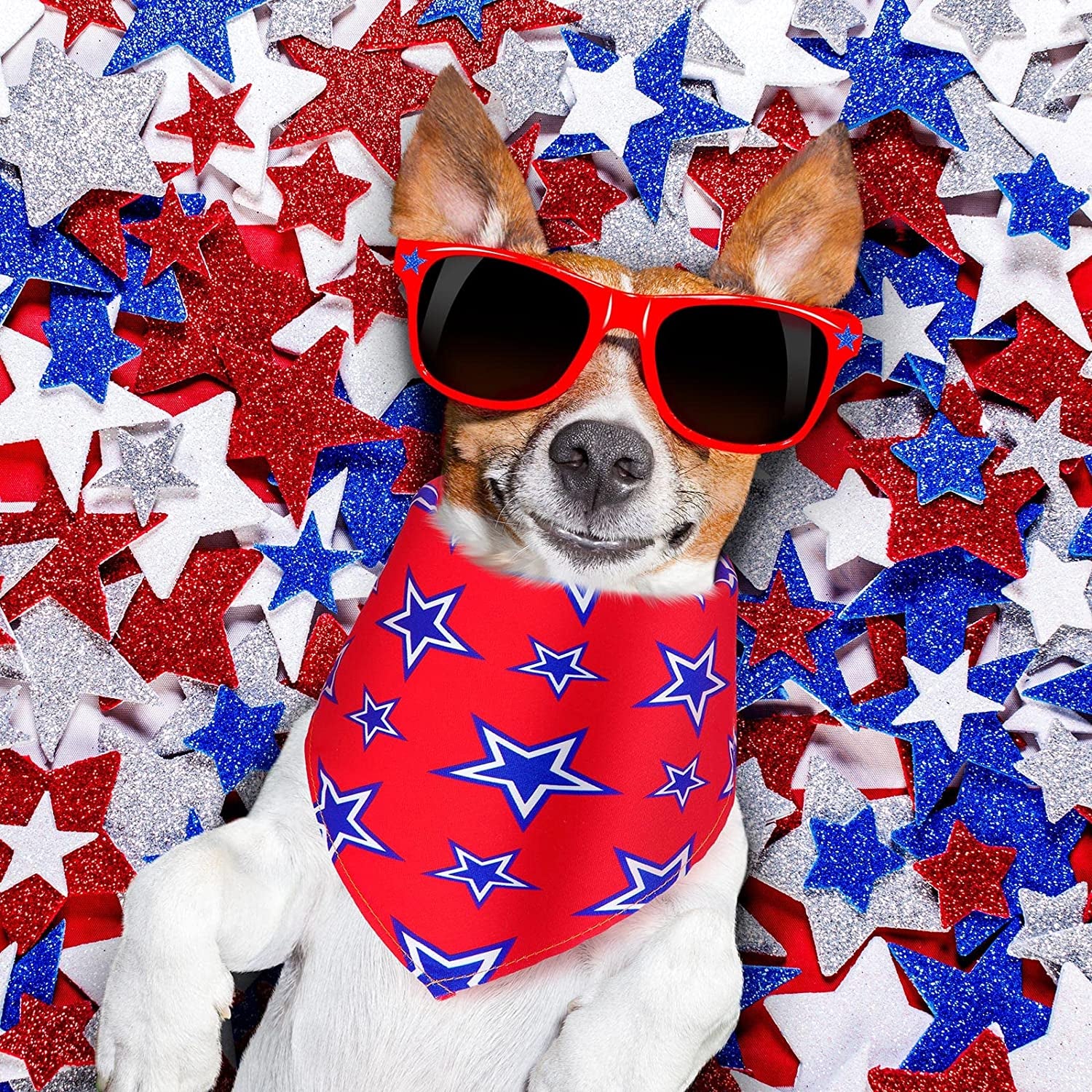 14 Pieces American Flag Dog Bandanas USA Flag 4Th of July Dog Bandana Patriotic Dog Bandana Independence Day Bibs Triangle Dog Scarf Kerchief Set for Medium Large Dogs Cats Pets (Flag Pattern) Animals & Pet Supplies > Pet Supplies > Dog Supplies > Dog Apparel Weewooday   