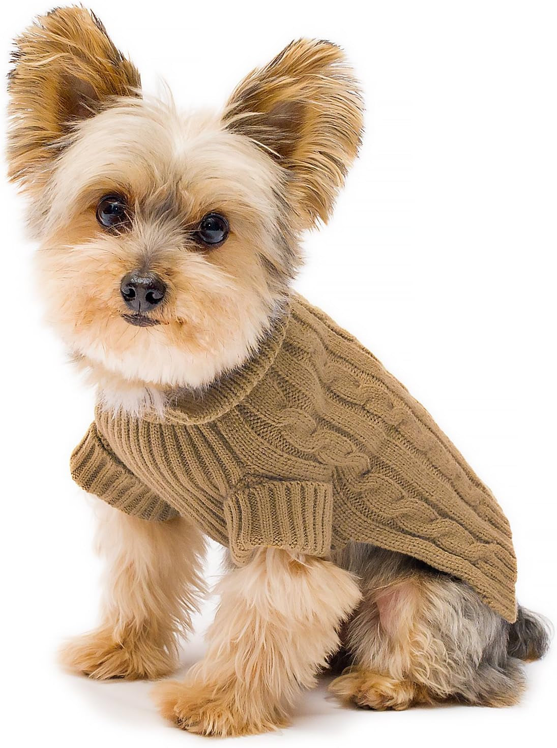 Stinky G Camel Aran Dog Sweater Size #10 Small Animals & Pet Supplies > Pet Supplies > Dog Supplies > Dog Apparel Stinky G Camel #12 