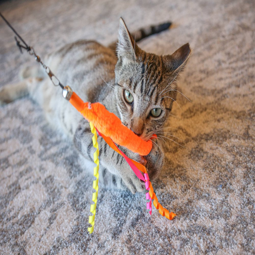 Vibrant Life Expandable Worm Teaser Wand Cat Toy Animals & Pet Supplies > Pet Supplies > Cat Supplies > Cat Toys Multipet   