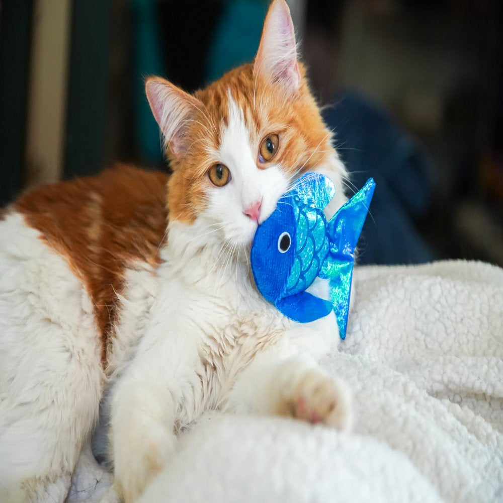 Vibrant Life Sparkle Fish Cat Toy, 2 Pack Animals & Pet Supplies > Pet Supplies > Cat Supplies > Cat Toys Vibrant Life   