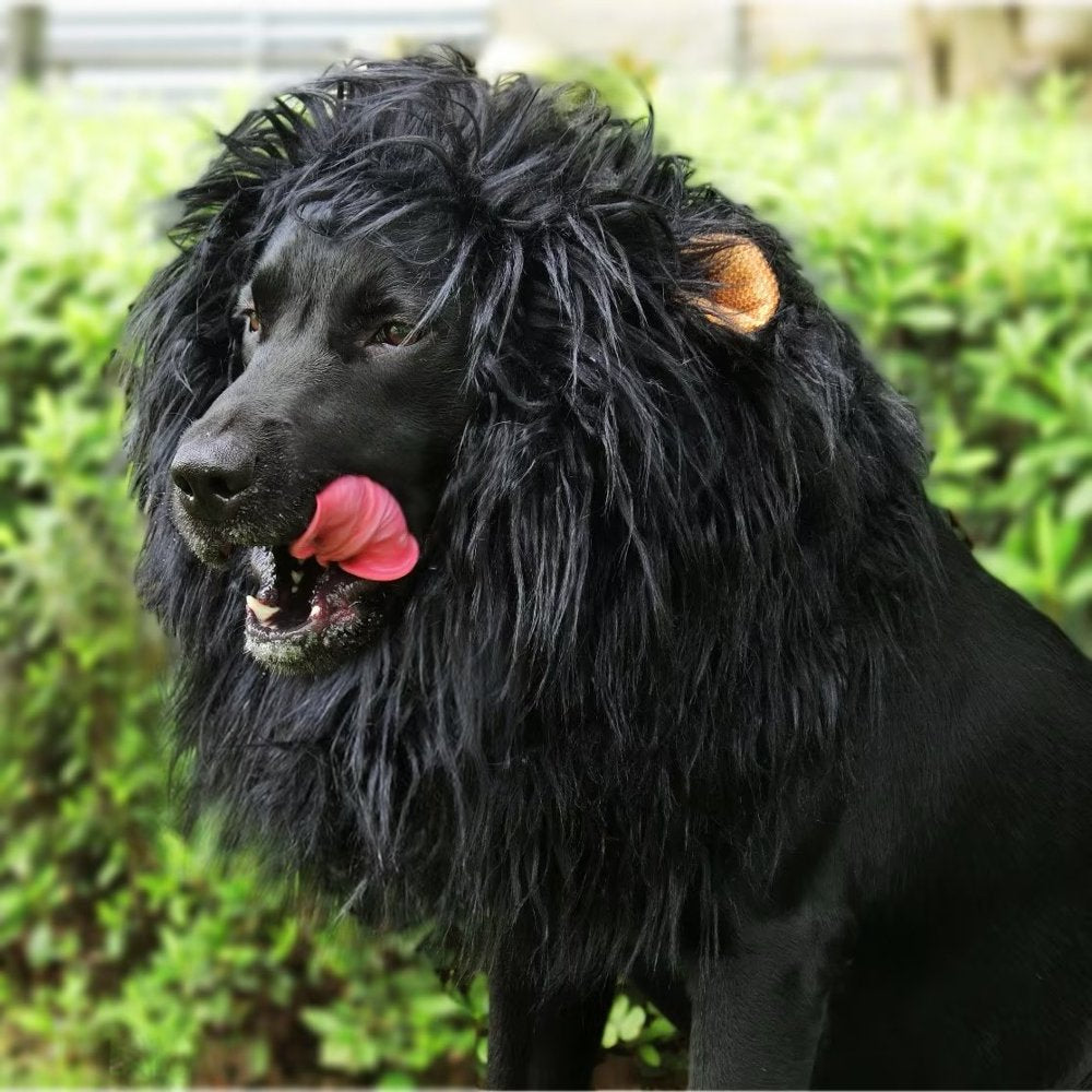Lion Mane Wig for Dogs, Funny Pet Halloween Costumes, Furry Dog Clothing Accessories (Size L, Black)