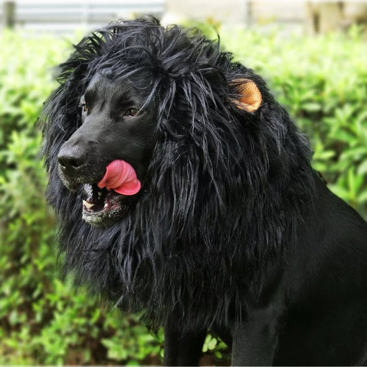 Lion Mane Wig for Dogs, Funny Pet Halloween Costumes, Furry Dog Clothing Accessories (Size L, Black) Animals & Pet Supplies > Pet Supplies > Dog Supplies > Dog Apparel Animour M Black 