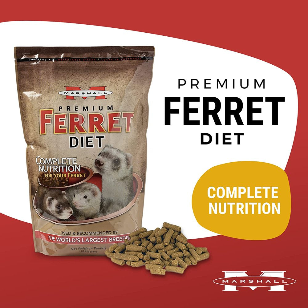 Marshall Pet Products Natural Complete Nutrition Premium Ferret Diet Food with Real Chicken Protein, Highly Digestible, 4 Lbs Animals & Pet Supplies > Pet Supplies > Small Animal Supplies > Small Animal Food Marshall Pet Products   