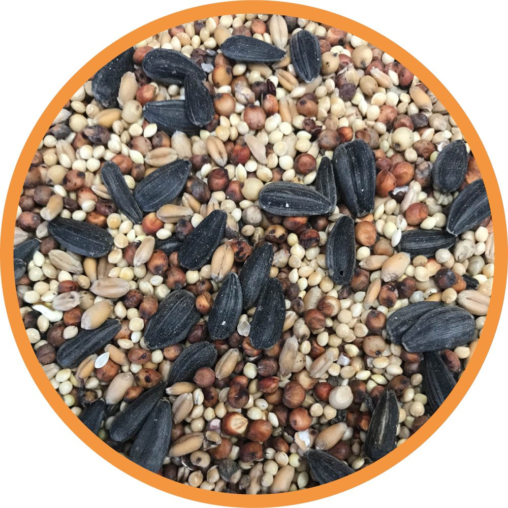 Pennington Southwest Blend Wild Bird Feed and Seed, 20 Lb. Bag Animals & Pet Supplies > Pet Supplies > Bird Supplies > Bird Food CENTRAL GARDEN & PET COMPANY   