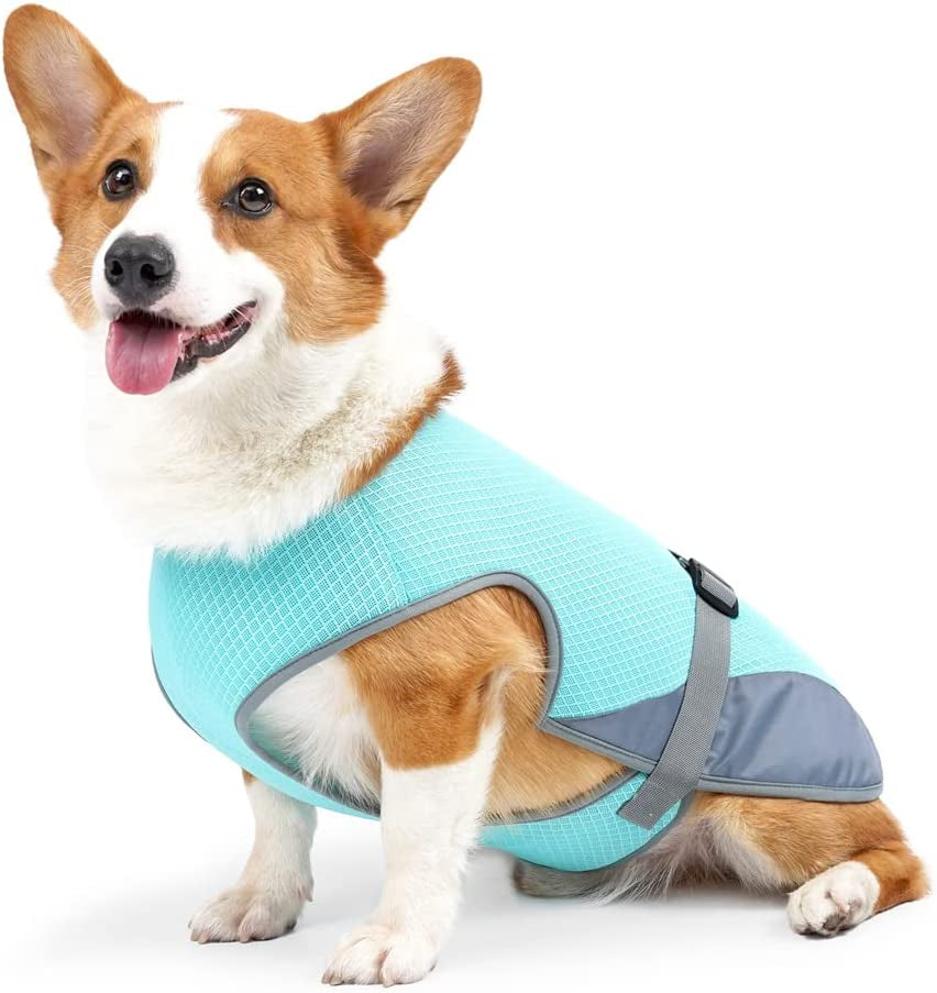 Dog Cooling Vest, Ultralight Weight, Medium and Large Dogs, Cooling Jacket, for Outdoor Activities, Hiking, Training, Grey, XL Animals & Pet Supplies > Pet Supplies > Dog Supplies > Dog Apparel ENGEL WEMANG blue L 