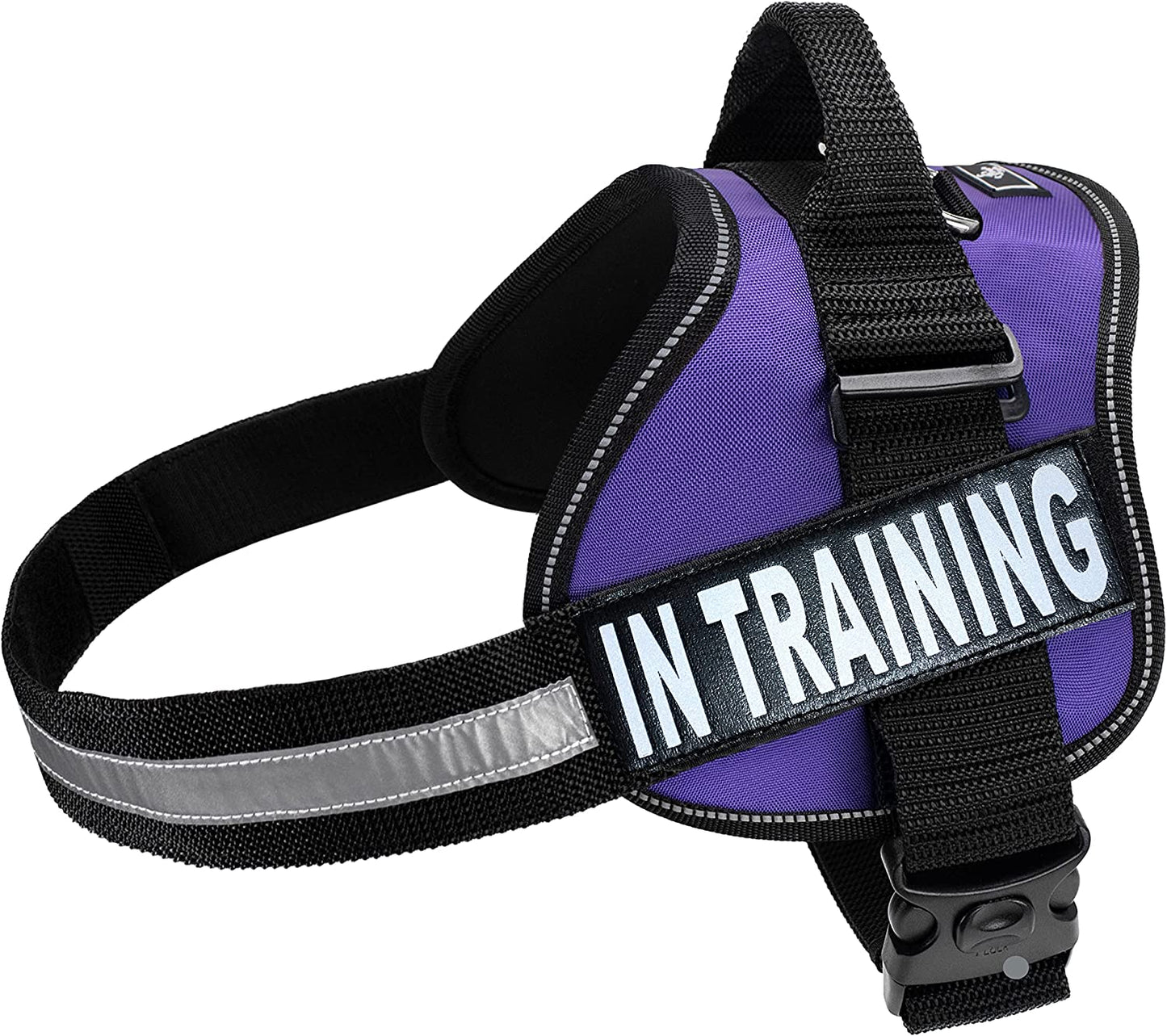 Service Dog Harness Vest Cool Comfort Nylon for Dogs Small Medium Large Girth, Purchase Comes with 2 in Training Reflective Patches. Please Measure Dog before Ordering (Girth 24-31", Red) Animals & Pet Supplies > Pet Supplies > Dog Supplies > Dog Apparel Doggie Stylz Purple Girth 12-16" 