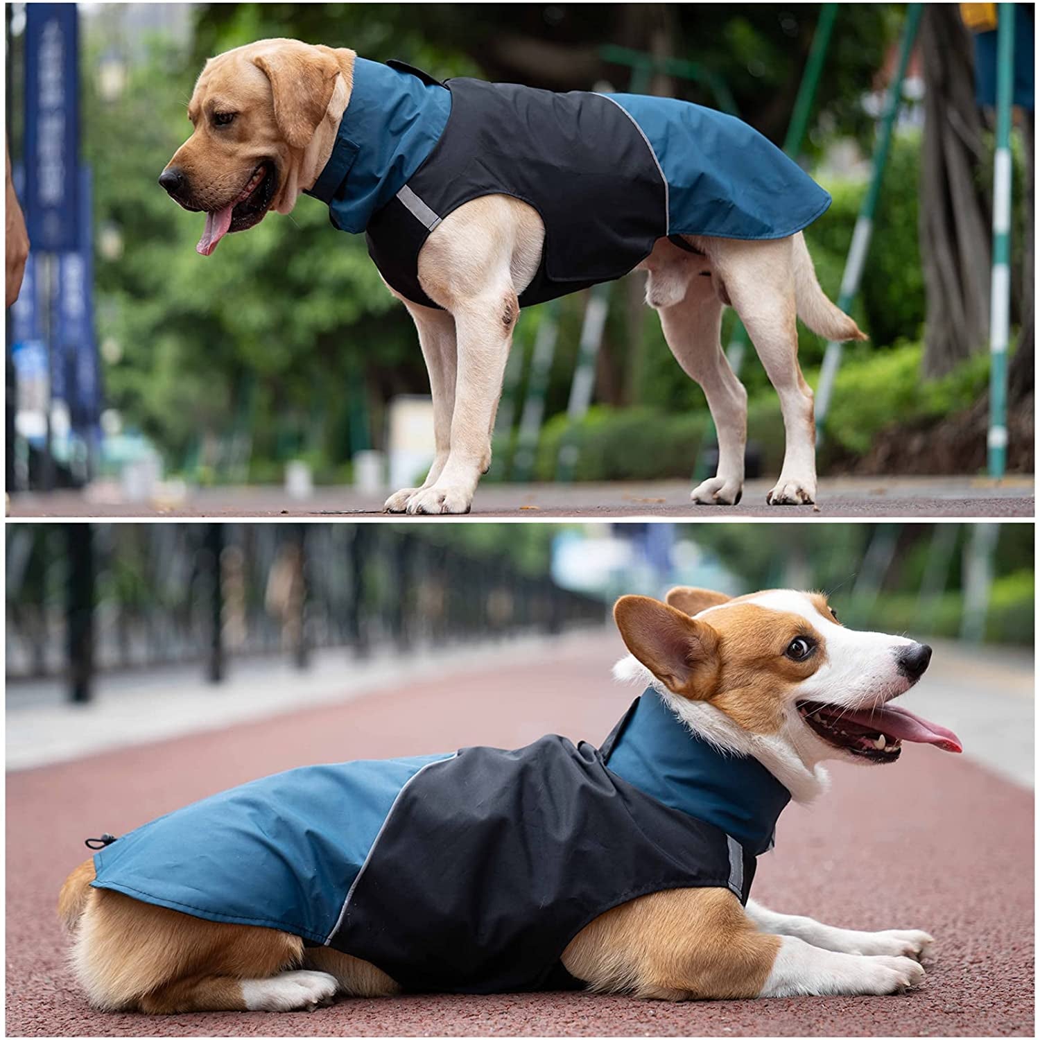 Dog Warm Coats - Windproof Dog Winter Outdoor Jackets Cold Weather Coats for Dog Waterproof Dog Raincoats with Hole for Dog Leash,Black Blue XL Animals & Pet Supplies > Pet Supplies > Dog Supplies > Dog Apparel ODSSDAPU   