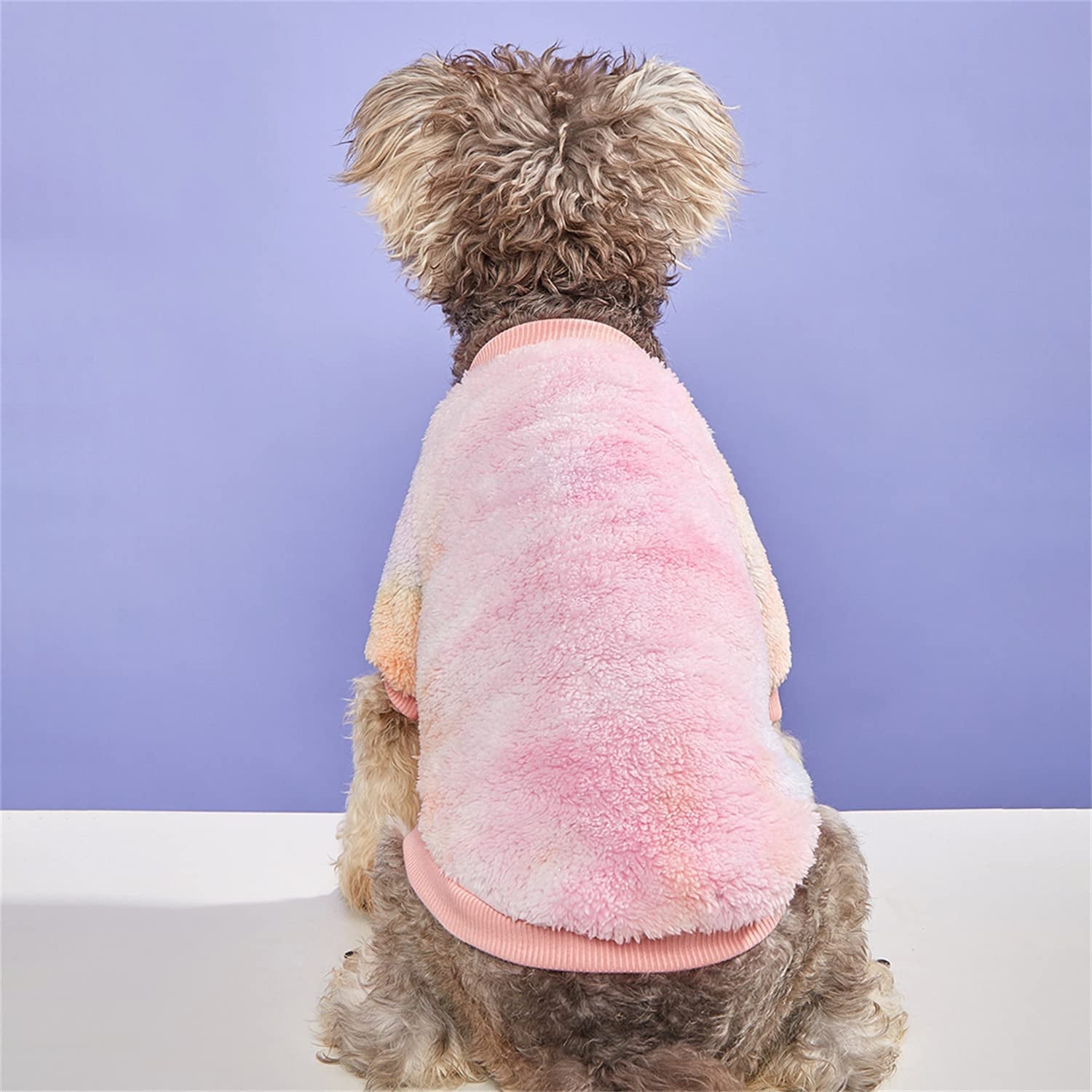 Moorfowl 2 Pack Gradient Dog Plush Sweater for Small Dogs Warm