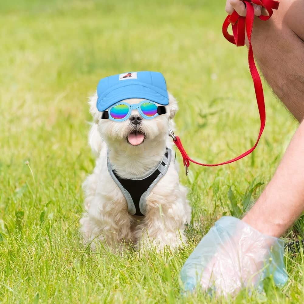 Sebaoyu Dog Hat and Sunglasses Summer Dog Baseball Cap Pet Puppy Visor Hats Sunbonnet Outfit with Ear Holes Doggy Cat Goggles for Small Medium Breed (Sky Blue, Small) Animals & Pet Supplies > Pet Supplies > Dog Supplies > Dog Apparel Sebaoyu   