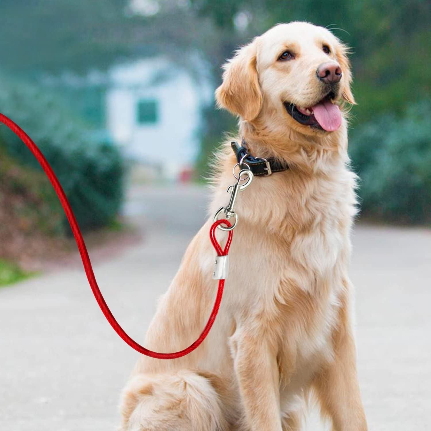 15Ft Dog Cable,Dog Tie Out Cable up to 125 Pounds,Dog Runner for Yard, Tie Out Cable for Dogs for Camping,Hiking,Running,Parks(Red) Animals & Pet Supplies > Pet Supplies > Dog Supplies > Dog Apparel NEODIKO-15   