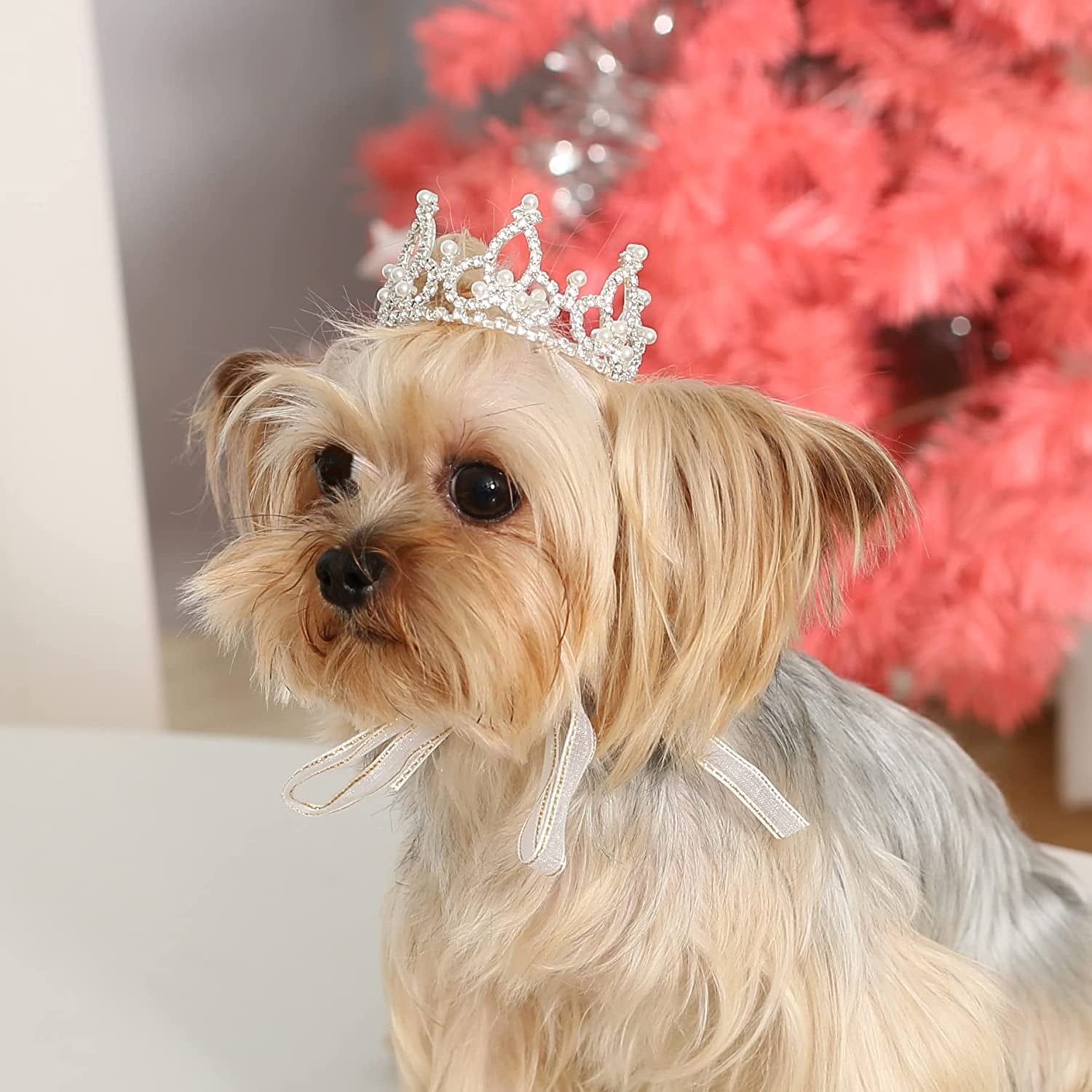 Lovelyshop Pet Series Gold Plated Royal Rhinestone Pearl Full round Dog/Cat Crown for Rolyal Family Costume Hair Accessories-Small Size Animals & Pet Supplies > Pet Supplies > Dog Supplies > Dog Apparel LOVELY SHOP Silver Xsmall 