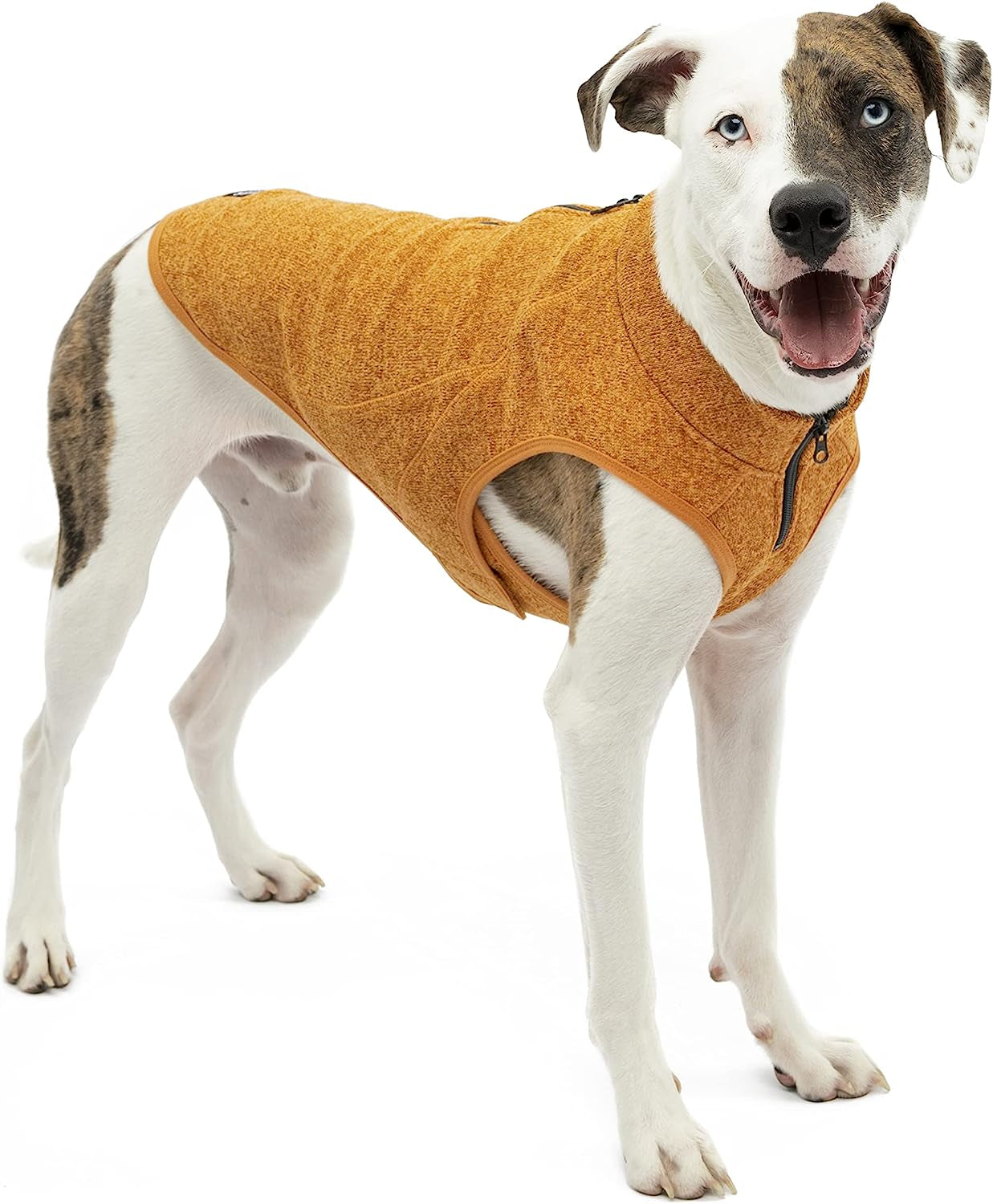 Kurgo K9 Core Dog Sweater | Year-Round Sweater for Dogs | Dog Fleece Vest | Knit Fleece Pet Jacket | Fleece Lining | Lightweight | Zipper Opening for Harness | Adjustable Neck | Black | Medium Animals & Pet Supplies > Pet Supplies > Dog Supplies > Dog Apparel Radio Systems Corporation Heather Orange Medium 