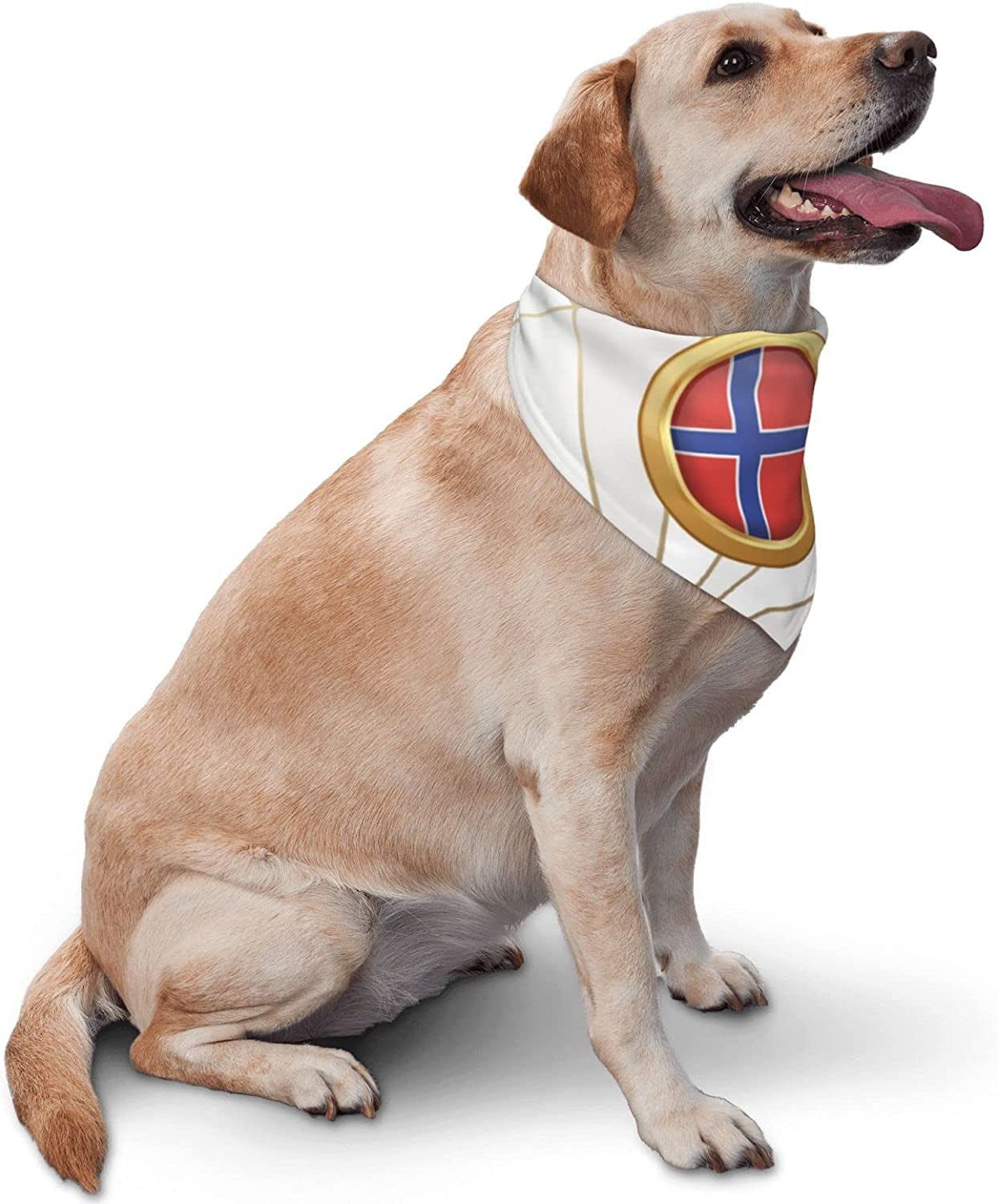 Golden Disc Norway Flag Pet Dog and Cat Decorative Triangle Scarf,Dog Bandana,Breathable and Stain Resistant. Animals & Pet Supplies > Pet Supplies > Dog Supplies > Dog Apparel ZALTAS   