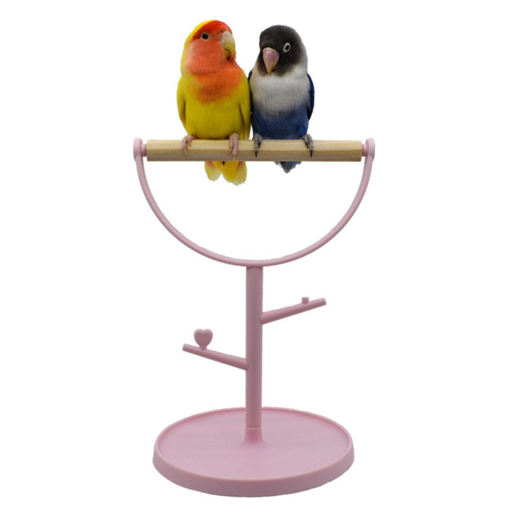 Small Bird Stand Perch Play Gym Cute Parrot Training Playstand Cage Accessories