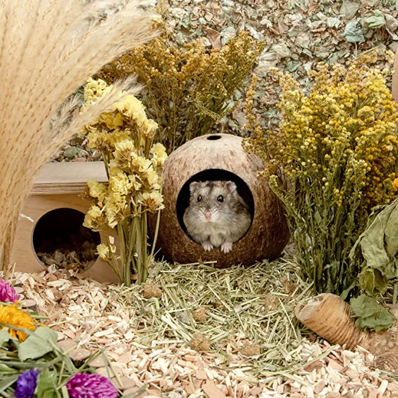 HKJF Coconut Hut Hamster House Bed for Gerbils Mice Small Animal Cage Habitat Decor Animals & Pet Supplies > Pet Supplies > Small Animal Supplies > Small Animal Habitats & Cages HKJF   