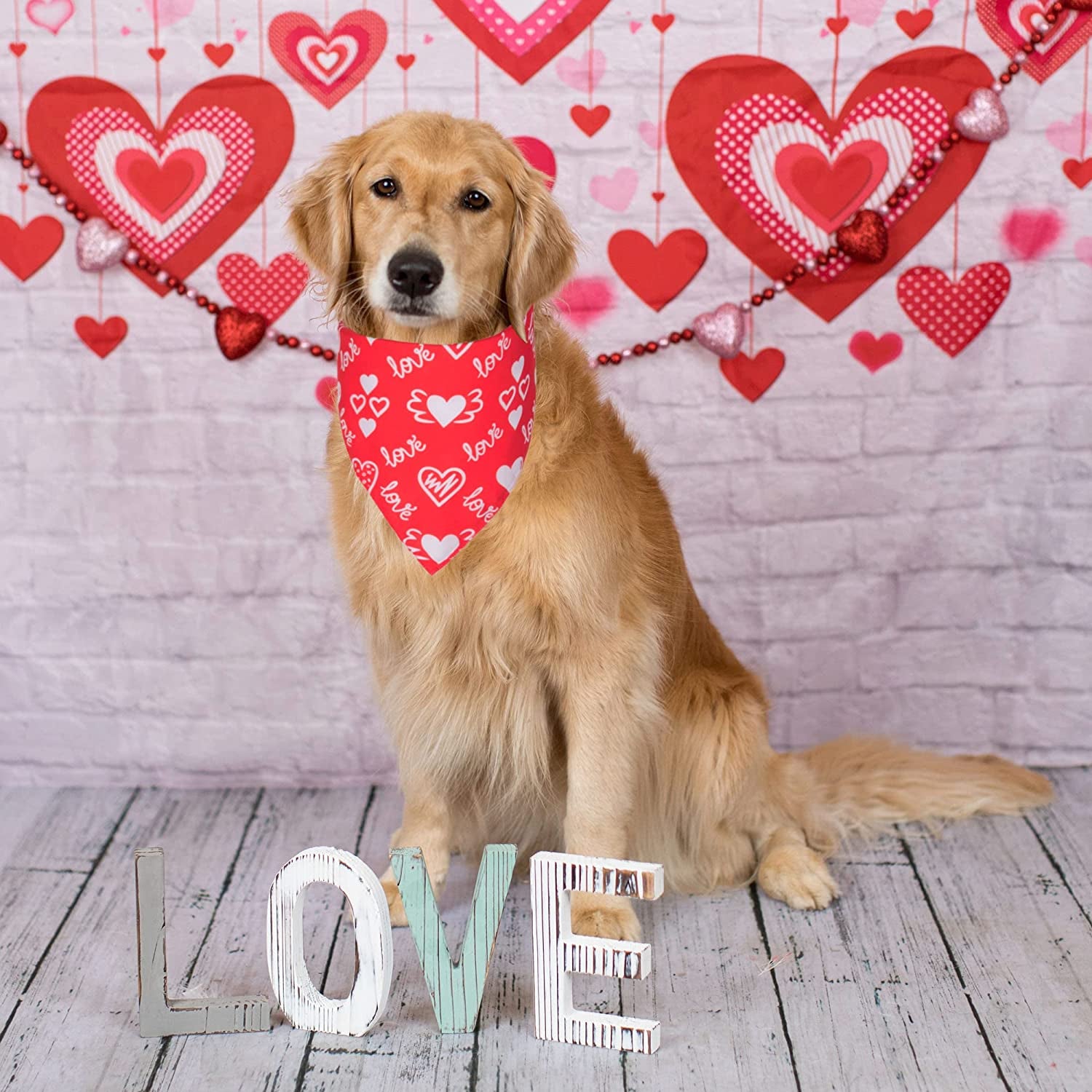 Adoggygo Valentine'S Day Dog Bandana, Multiple Sizes Offered, Reversible Triangle Dog Scarf Pet Bandana for Medium Large Dogs (Large, Red&Pink-2) Animals & Pet Supplies > Pet Supplies > Dog Supplies > Dog Apparel ADOGGYGO   