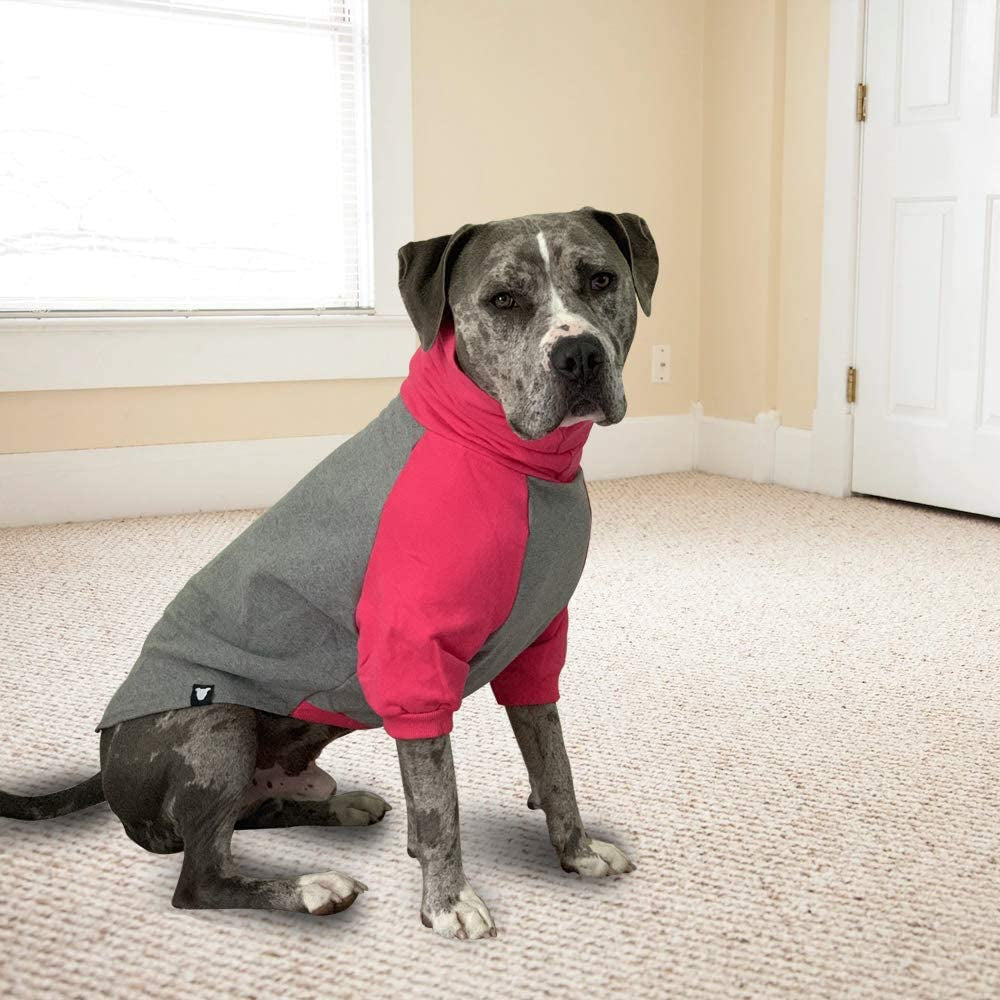 Tooth & Honey Large Dog Sweater/Pitbull/Large Dog Sweater Dog Sweatshirt/Hot Pink & Grey (Large) Animals & Pet Supplies > Pet Supplies > Dog Supplies > Dog Apparel Tooth & Honey   