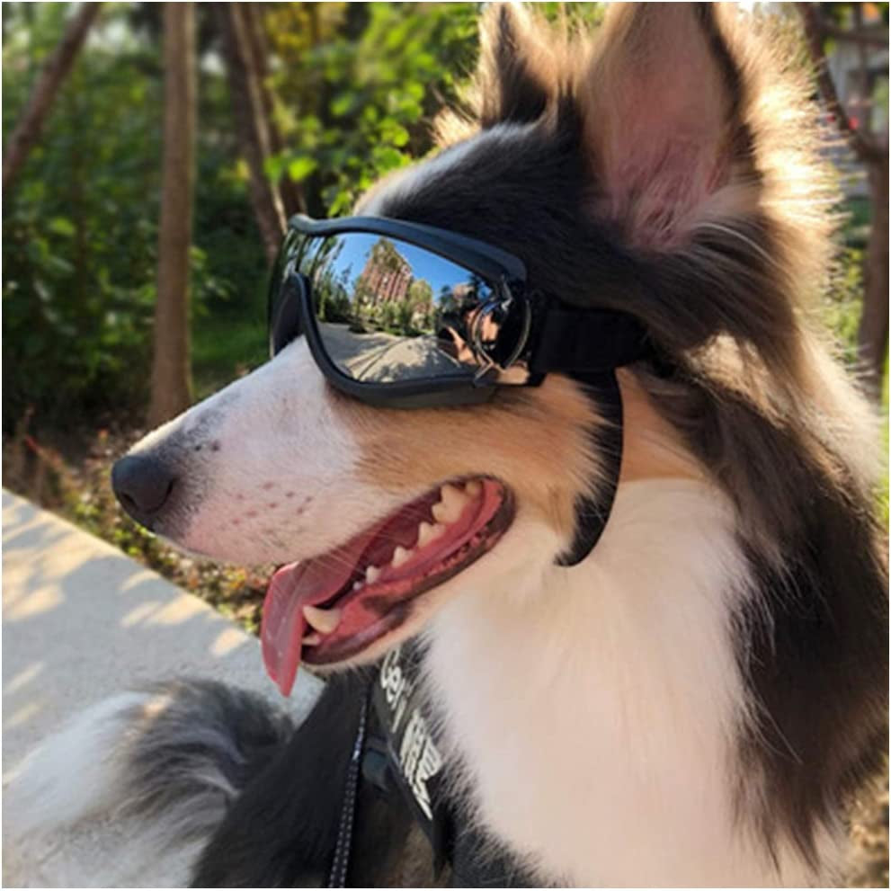 Pet Glasses Dog Sunglasses Dog Glasses Golden Retriever Samoyed Sunglasses Goggles Big Dog Sunglasses (Black) Animals & Pet Supplies > Pet Supplies > Dog Supplies > Dog Apparel NACOCO SKI  