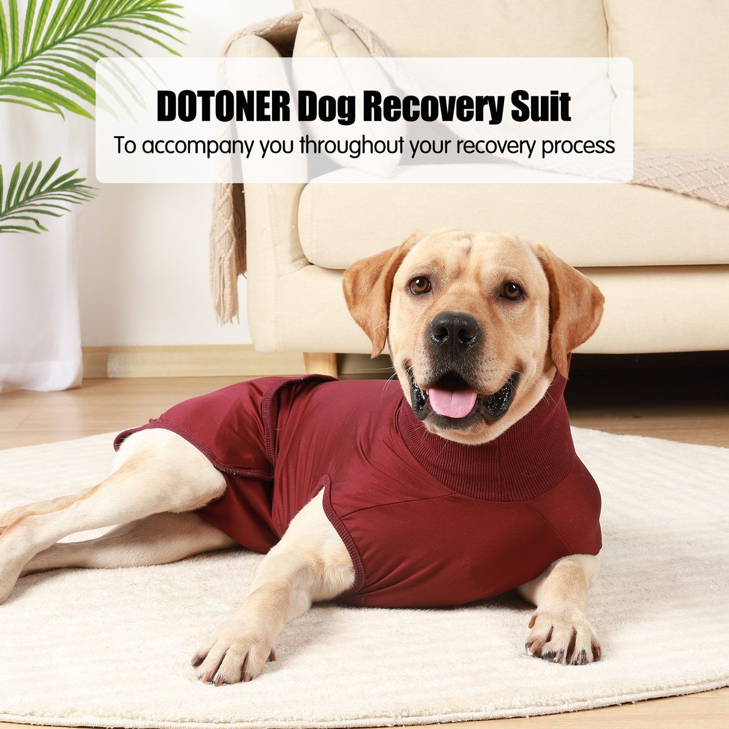 ROZKITCH Dog Surgery Recovery Suit, Onesie Breathable Wound Protector, Red, S Animals & Pet Supplies > Pet Supplies > Dog Supplies > Dog Apparel ROZKITCH   