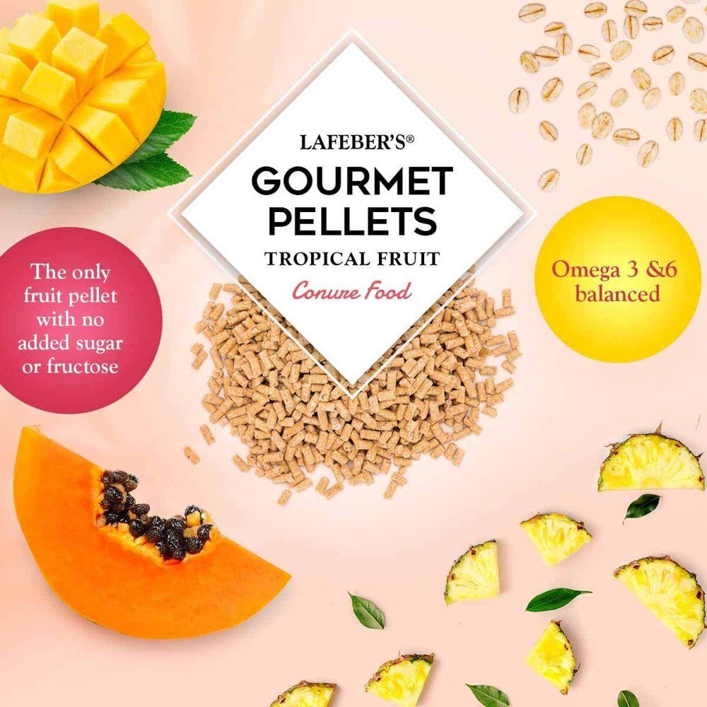 Lafeber 041054726478 4 Lbs Tropical Fruit Gourmet Pellets Bird Food for Conure Animals & Pet Supplies > Pet Supplies > Bird Supplies > Bird Food Lafeber   