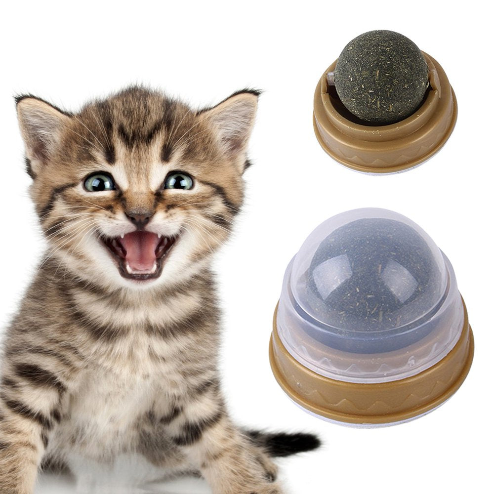 Meishangle Cat Wall Treats Remove Hairball Dental Care Great Catnip Wall Ball Edible Kitty Toys Animals & Pet Supplies > Pet Supplies > Cat Supplies > Cat Treats Meishangle   