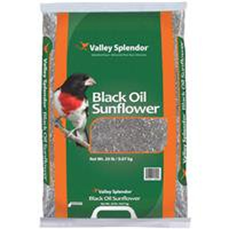 Valley Spendor 50058-D Red River Commodities Oil Sunflower Bird Food Animals & Pet Supplies > Pet Supplies > Bird Supplies > Bird Food VALLEY SPENDOR   