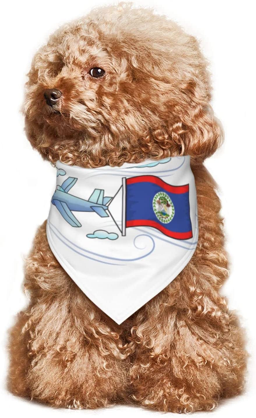 Airplane with Flag Belize Pet Dog and Cat Decorative Triangle Scarf,Dog Bandana,Breathable and Stain Resistant. Animals & Pet Supplies > Pet Supplies > Dog Supplies > Dog Apparel ZALTAS   