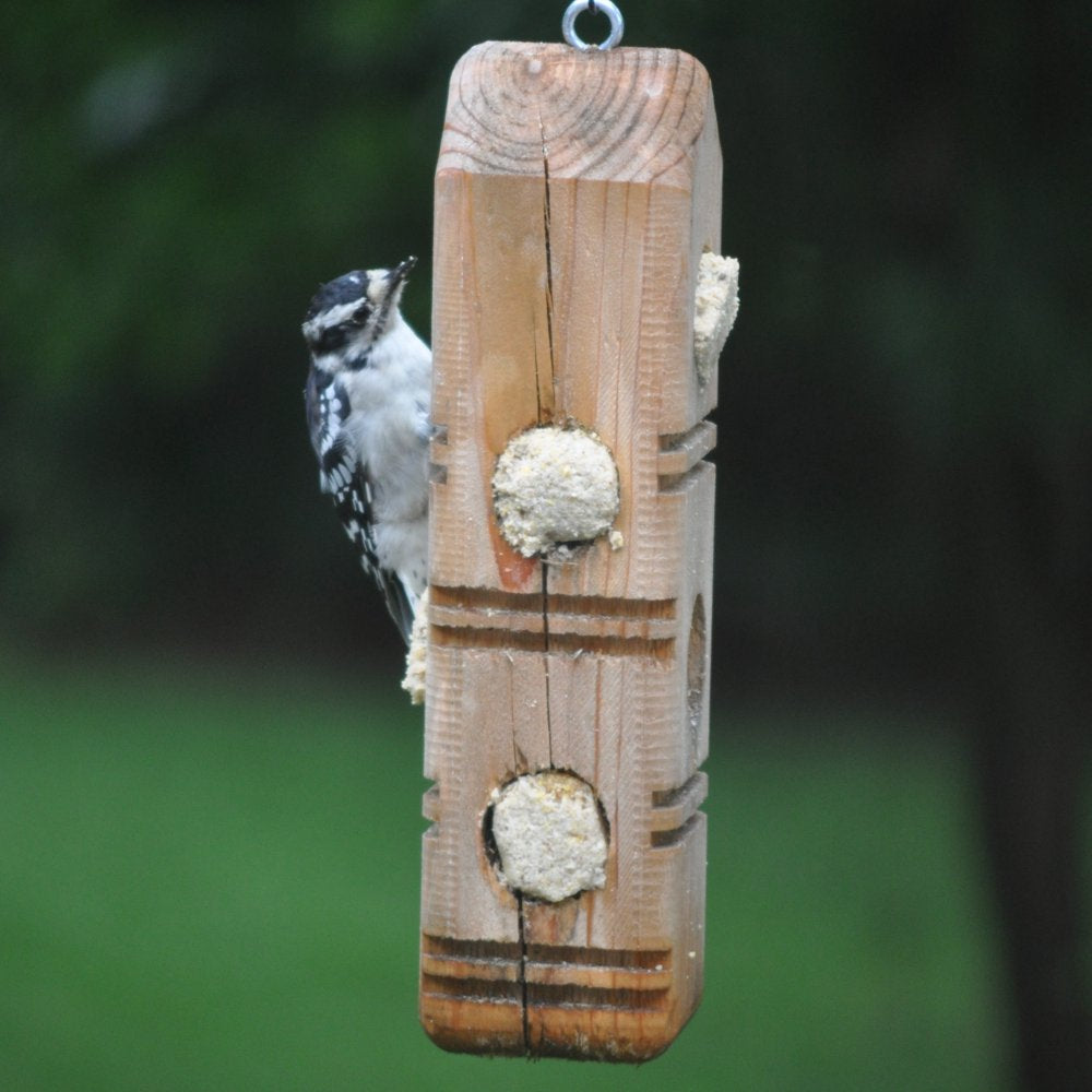 C&S Peanut Delight No-Melt Suet Dough Plugs, 12 Oz, Wild Bird Food Animals & Pet Supplies > Pet Supplies > Bird Supplies > Bird Food Central Garden and Pet   