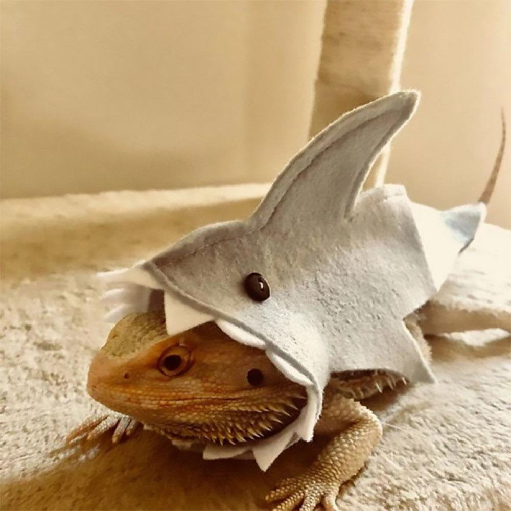 Popvcly Bearded Dragon Shark Outfit Lizard Reptile Shark Costume Handmade Felt Bearded Dragon Harness for Chameleon Gecko Anole Iguana Amphibians, Gray, L Animals & Pet Supplies > Pet Supplies > Dog Supplies > Dog Apparel Popvcly   