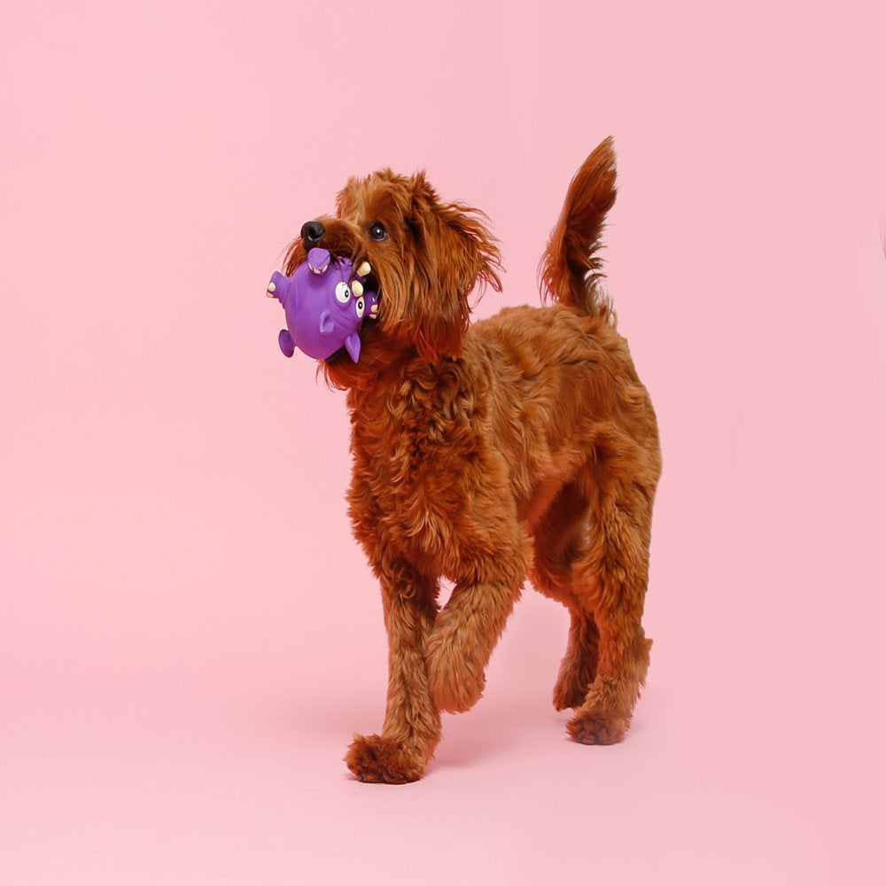 Hartz Dura Play Zoo Balloons Dog Toy, Animal May Vary