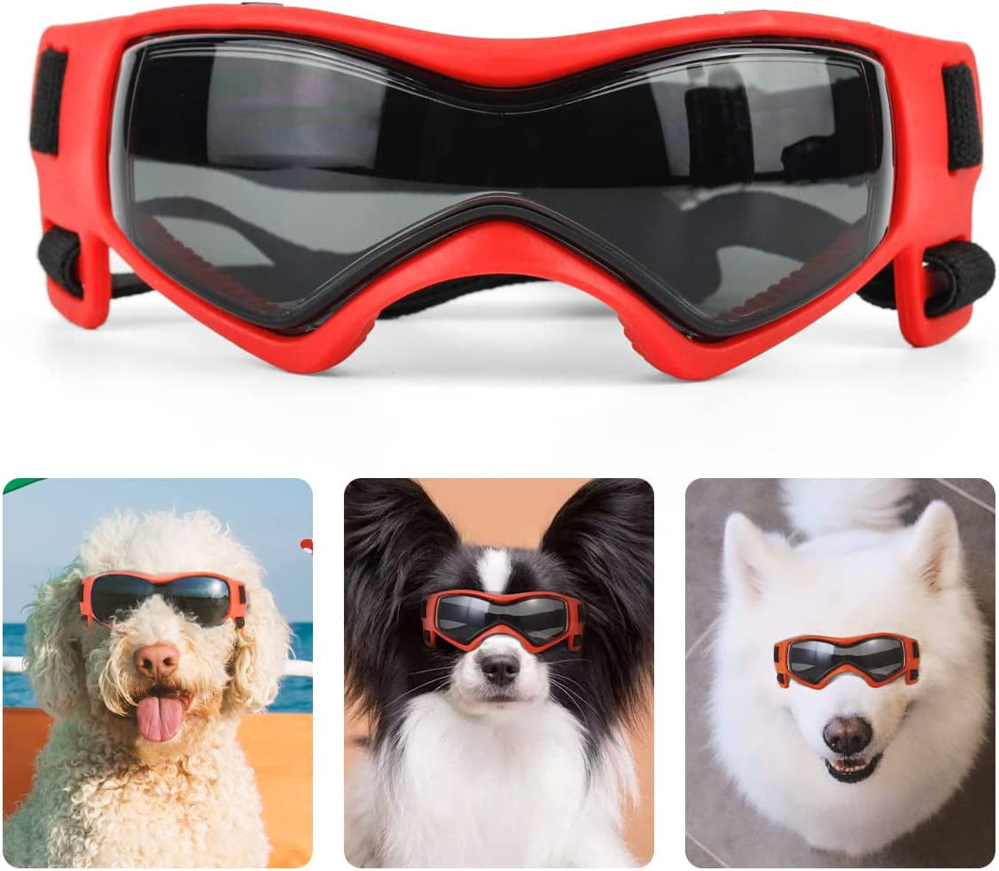 PEDOMUS Dog Goggles Small Medium Dog Sunglasses Adjustable Strap for UV Sunglasses Waterproof Protection for Small Medium Dog (Cool Red) Animals & Pet Supplies > Pet Supplies > Dog Supplies > Dog Apparel PEDOMUS RED  