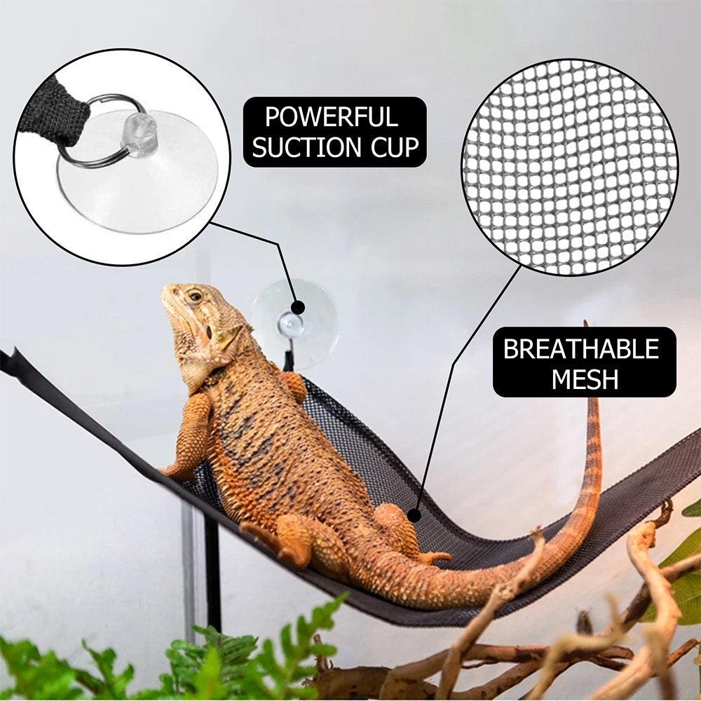 Lieonvis Reptile Hammock Mesh Triangular Amphibians Lounger Bridge Hanging Bed Net Geckos Lizards Habitat Decors Pet Supplies