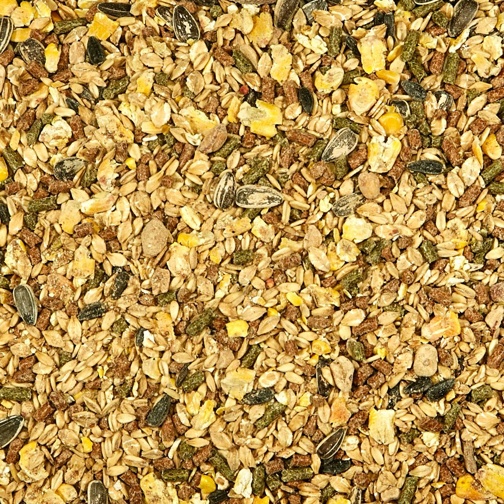 Kaytee Supreme Mouse and Rat Food 20 Lb Animals & Pet Supplies > Pet Supplies > Small Animal Supplies > Small Animal Food Central Garden and Pet   