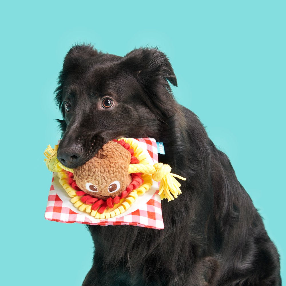 BARK Spaghetti and Muttballs Dog Toy - Features Tug-O-War, Xs to Medium Dogs