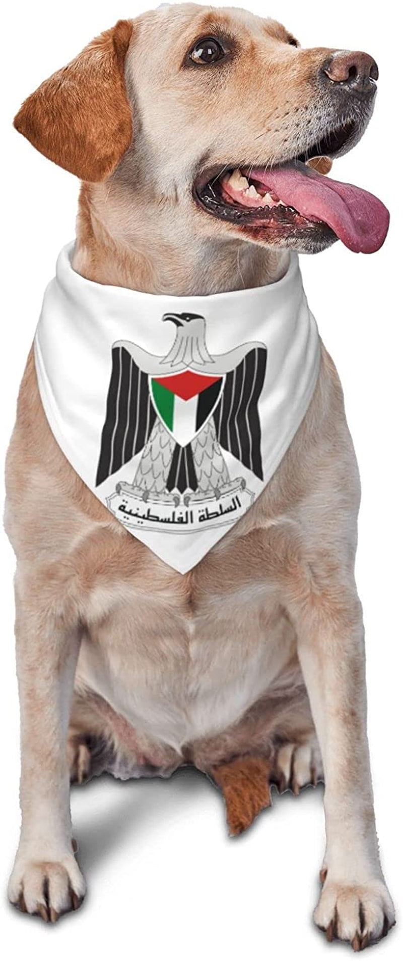 Coat of Arms of the Palestinian National Authority Pet Dog and Cat Decorative Triangle Scarf,Dog Bandana,Breathable and Stain Resistant. Animals & Pet Supplies > Pet Supplies > Dog Supplies > Dog Apparel ZALTAS   