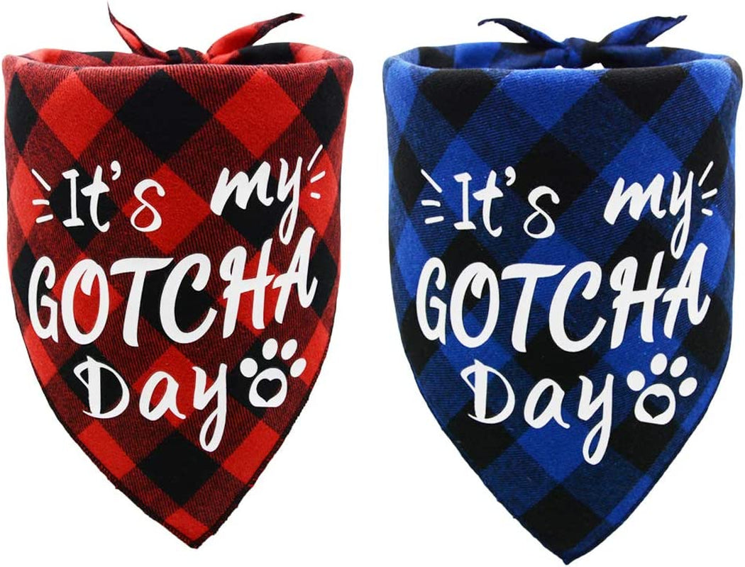 2 Pack It’S My Gotcha Day Print Dog Birthday Bandana for Boys and Girls Scarf Bibs Accessories for Pet Birthday Gift Red and Blue Animals & Pet Supplies > Pet Supplies > Dog Supplies > Dog Apparel Covoroza   