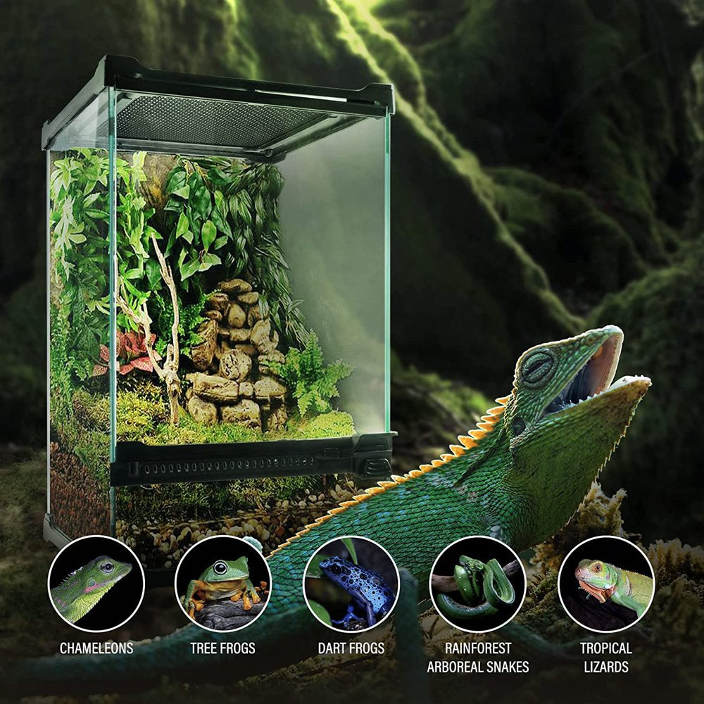 FSROLTPI Reptile Tall Glass Terrarium, Vertical Tank Starter Kit, 8X8X12In Mini Front Open Door Cage, Full View Screen Habitat Ventilation Enclosure for Small Chameleon Snake Lizard Animals & Pet Supplies > Pet Supplies > Reptile & Amphibian Supplies > Reptile & Amphibian Substrates FSROLTPI   