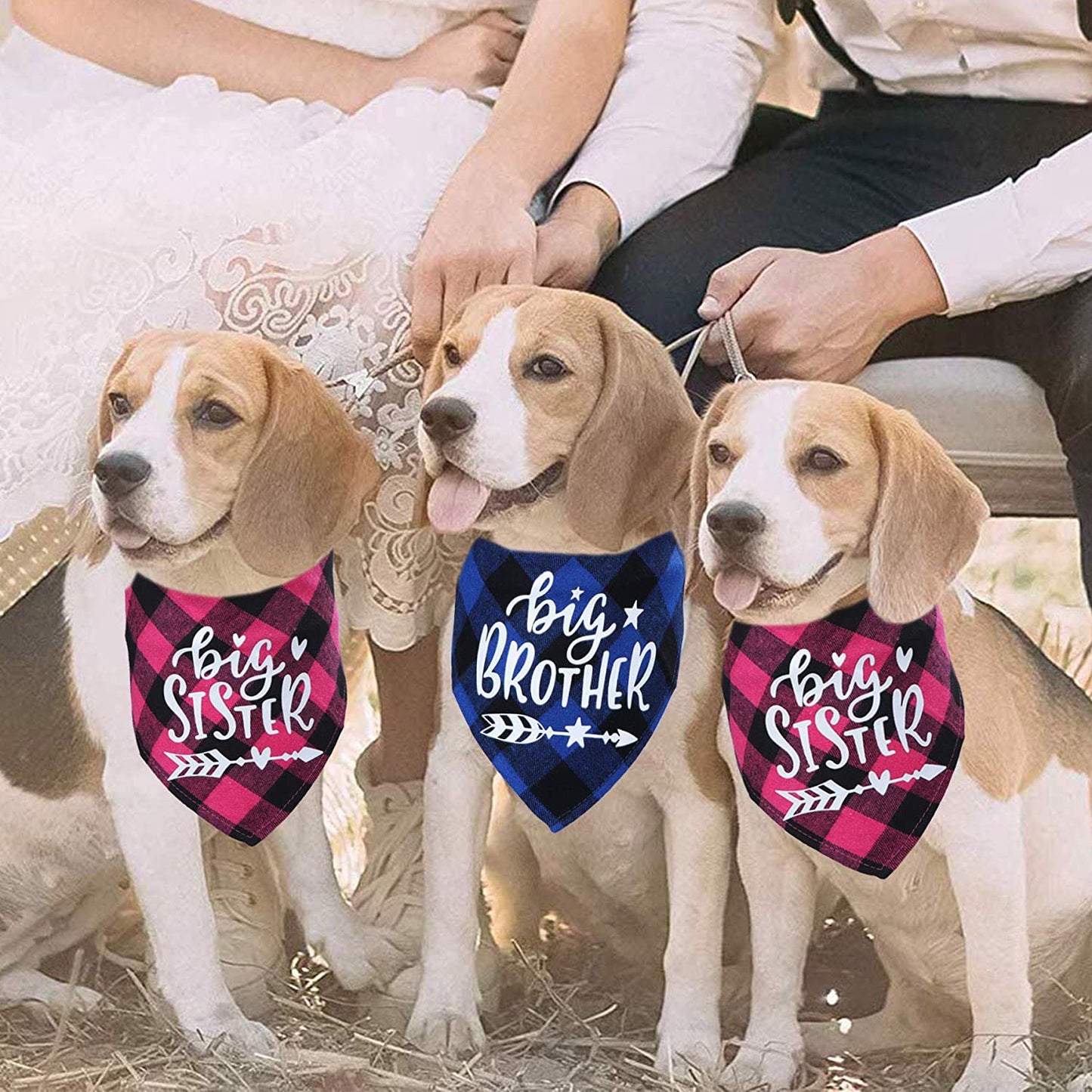 STMK Big Brother Big Sister Dog Bandana, Pregnancy Announcement Plaid Dog Bandana, Gender Reveal Photo Prop, Pet Scarf Accessories, Pet Scarves for Dogs Animals & Pet Supplies > Pet Supplies > Dog Supplies > Dog Apparel STMK   