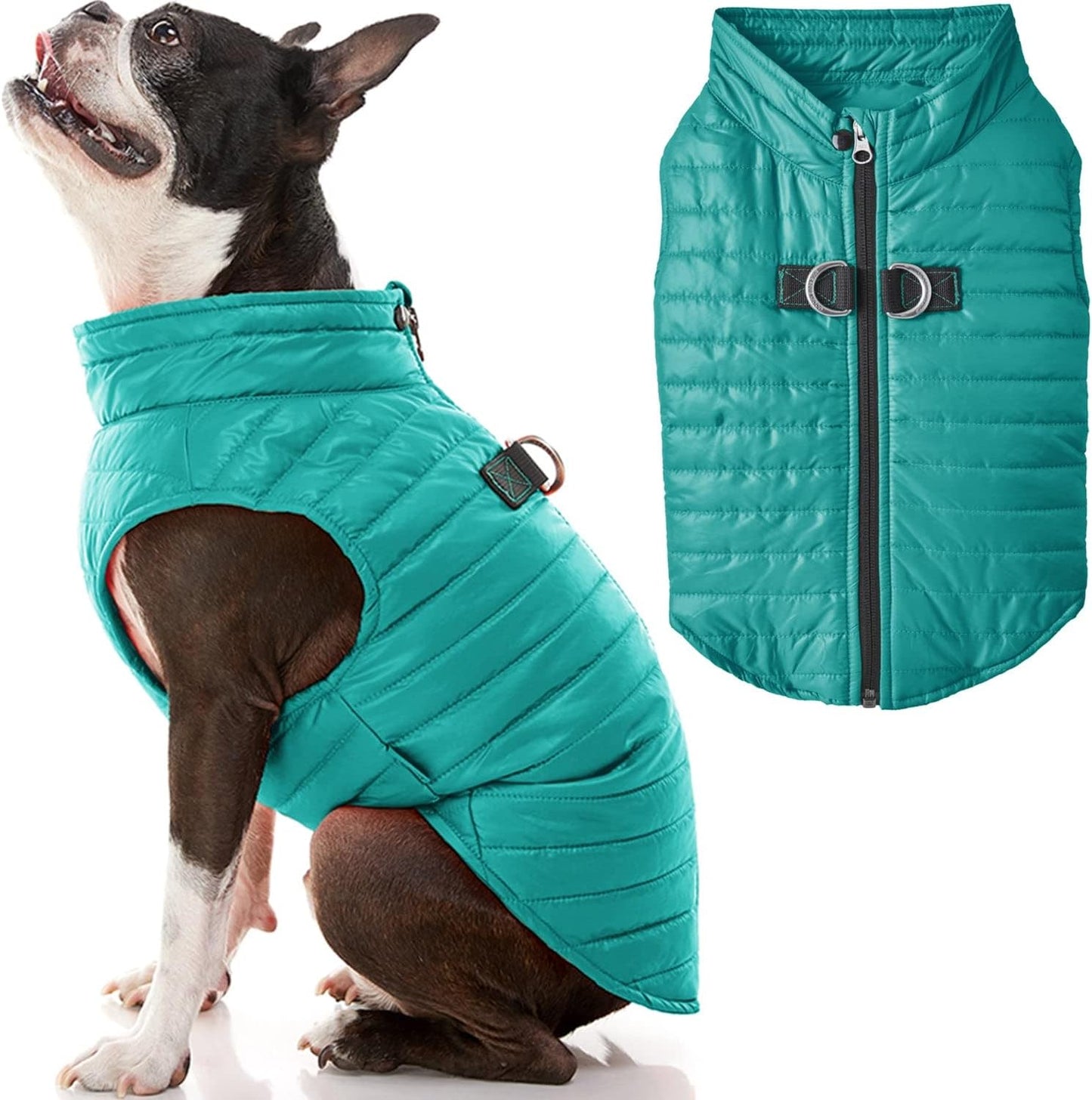 Gooby Puffer Vest Dog Jacket - Purple, Medium - Ultra Thin Zip up Wind Breaker with Dual D Ring Leash - Water Resistant Small Dog Sweater Coat - Dog Clothes for Small Dogs Boy or Medium Dogs Animals & Pet Supplies > Pet Supplies > Dog Supplies > Dog Apparel Gooby Turquoise X-Small chest (12") 